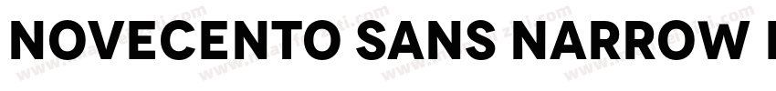 Novecento sans narrow Bold字体转换